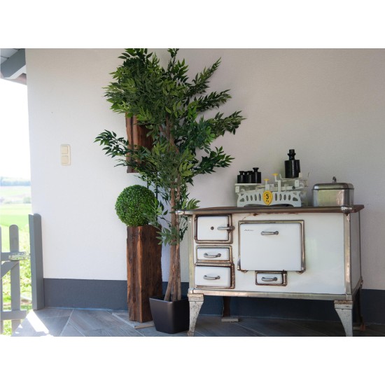 EUROPALMS Pianta Artificiale Fico Longifolia 165 cm - Realistica con Tronco Naturale e Foglie Verdi