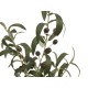 EUROPALMS Albero di Ulivo Artificiale con Frutti - Piante Ornamentali 68 cm