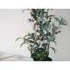 EUROPALMS Albero di Ulivo Artificiale con Frutti - Piante Ornamentali 68 cm