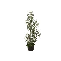 Albero di Olivo Artificiale EUROPALMS, 90 cm - Pianta Decorativa Mediterranea con Frutti