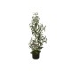 Albero di Olivo Artificiale EUROPALMS, 90 cm - Pianta Decorativa Mediterranea con Frutti
