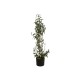 EUROPALMS Albero di Ulivo Artificiale con Frutti, 104 cm - Decorazione Mediterranea