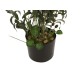 EUROPALMS Albero di Ulivo Artificiale con Frutti, 104 cm - Decorazione Mediterranea