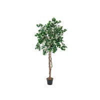 EUROPALMS Bougainvillea Bianco, Pianta Artificiale 180 cm con Tronco Naturale e Fiori Realistici