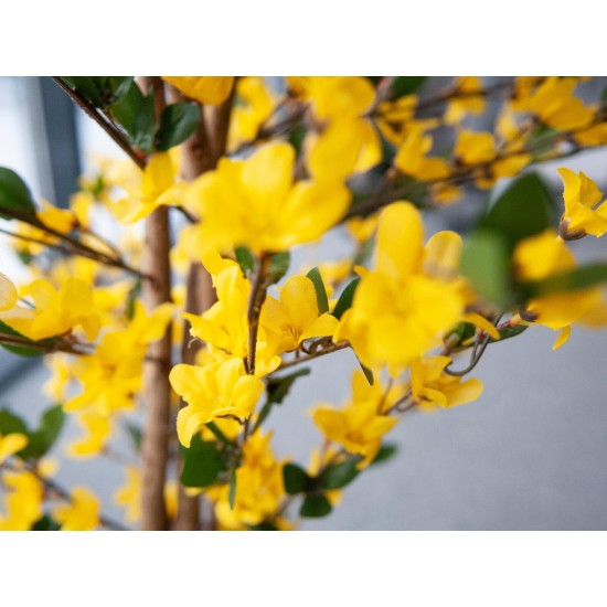 EUROPALMS Albero di Forsizia Artificiale, 3 Tronchi Naturali, Fiori Gialli Realistici, 150 cm