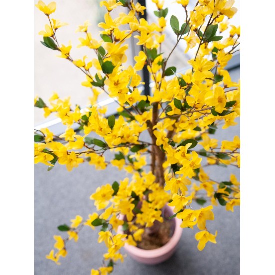 EUROPALMS Albero di Forsizia Artificiale, 3 Tronchi Naturali, Fiori Gialli Realistici, 150 cm