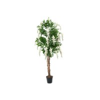 EUROPALMS Laburno Artificiale Bianco 180 cm - Pianta Decorativa con Foglie Realistiche
