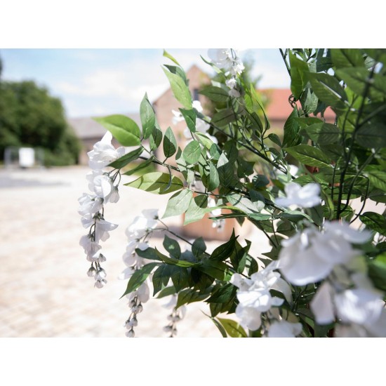 EUROPALMS Laburno Artificiale Bianco 180 cm - Pianta Decorativa con Foglie Realistiche