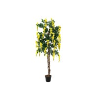 EUROPALMS Laburno Giallo Artificiale 180 cm - Pianta Decorativa Realistica
