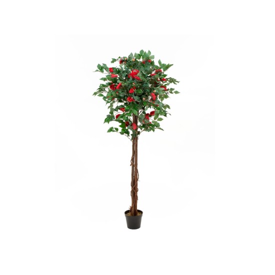 Camelia Rossa Artificiale con Vaso - 180 cm | EUROPALMS, Pianta Decorativa Realistica