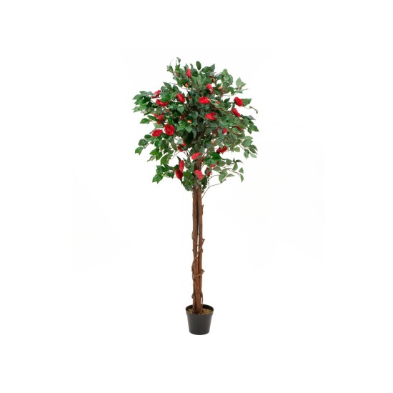 Camelia Rossa Artificiale con Vaso - 180 cm | EUROPALMS, Pianta Decorativa Realistica