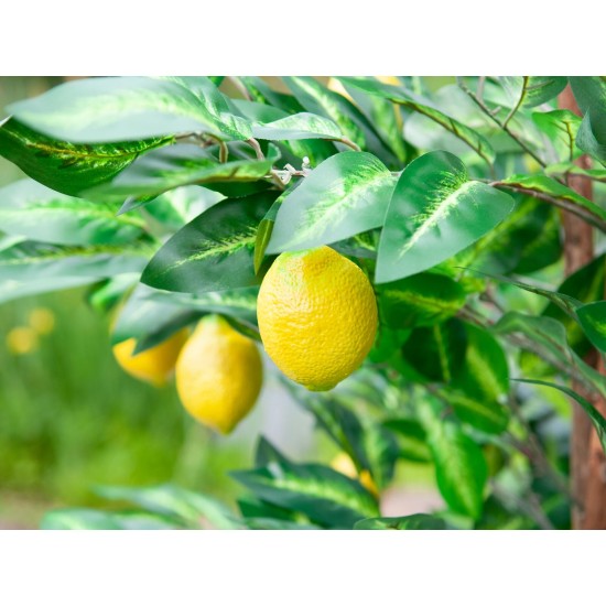 EUROPALMS Pianta di Limone Artificiale 180 cm - Albero Decorativo con Foglie Realistiche