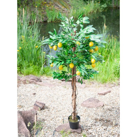 EUROPALMS Pianta di Limone Artificiale 180 cm - Albero Decorativo con Foglie Realistiche