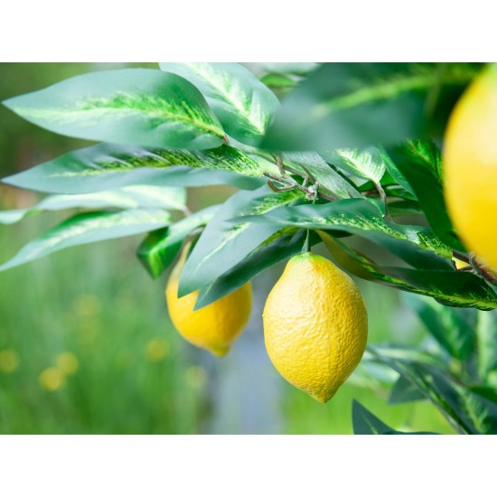 EUROPALMS Pianta di Limone Artificiale 180 cm - Albero Decorativo con Foglie Realistiche