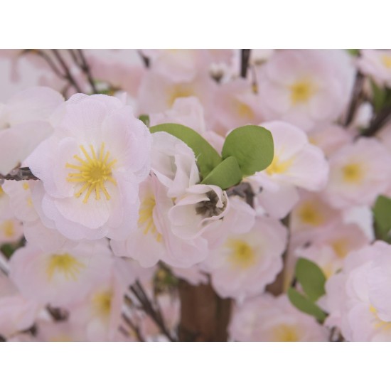 Albero di Ciliegio Artificiale EUROPALMS con 3 Tronchi, 150 cm, Fiori Rosa Chiaro