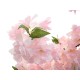 Albero di Ciliegio Artificiale EUROPALMS - 3 Tronchi, Effetto Rosa, 160cm