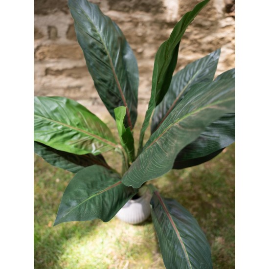 EUROPALMS Palma Sago Artificiale 45cm - Foglie Realistiche per Decorazioni Tropicali