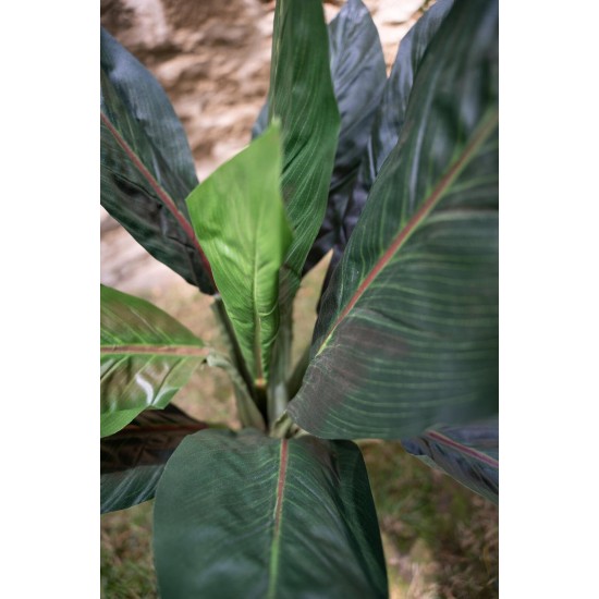 EUROPALMS Palma Sago Artificiale 45cm - Foglie Realistiche per Decorazioni Tropicali