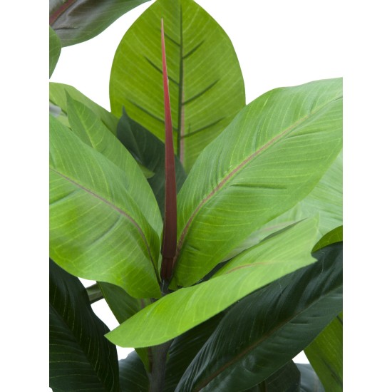 EUROPALMS Albero di Gomma Artificiale 100cm - Pianta Decorativa Realistica con Foglie Verdi