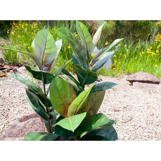 EUROPALMS Albero di Gomma Artificiale 100cm - Pianta Decorativa Realistica con Foglie Verdi