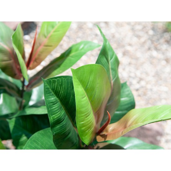 EUROPALMS Albero di Gomma Artificiale 100cm - Pianta Decorativa Realistica con Foglie Verdi