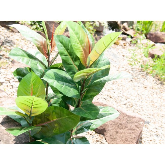 EUROPALMS Albero di Gomma Artificiale 100cm - Pianta Decorativa Realistica con Foglie Verdi