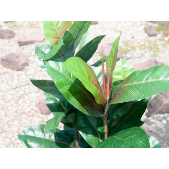 EUROPALMS Albero di Gomma Artificiale 100cm - Pianta Decorativa Realistica con Foglie Verdi