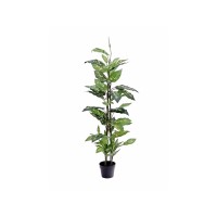 EUROPALMS Dieffenbachia Artificiale 120 cm - Foglie Realistiche per Decorazioni Esotiche