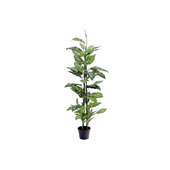 EUROPALMS Dieffenbachia Artificiale 120 cm - Foglie Realistiche per Decorazioni Esotiche