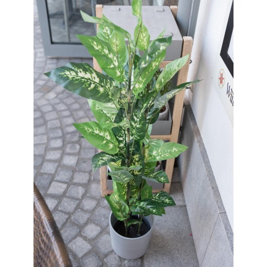 EUROPALMS Dieffenbachia Artificiale 120 cm - Foglie Realistiche per Decorazioni Esotiche