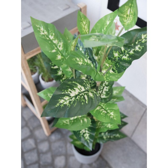 EUROPALMS Dieffenbachia Artificiale 120 cm - Foglie Realistiche per Decorazioni Esotiche