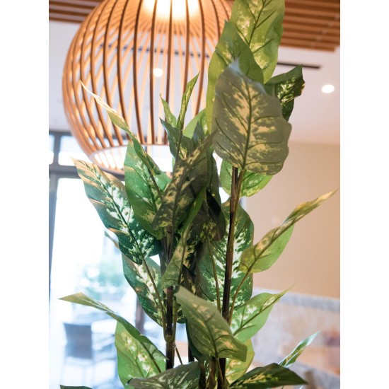 EUROPALMS Dieffenbachia Artificiale 120 cm - Foglie Realistiche per Decorazioni Esotiche