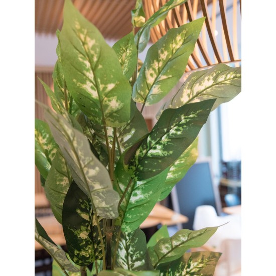 EUROPALMS Dieffenbachia Artificiale 120 cm - Foglie Realistiche per Decorazioni Esotiche