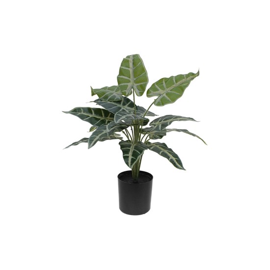 EUROPALMS Caladio Pianta Artificiale 38 cm - Decorazione Verde Bianco per Interni ed Esterni