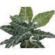 EUROPALMS Caladio Pianta Artificiale 38 cm - Decorazione Verde Bianco per Interni ed Esterni