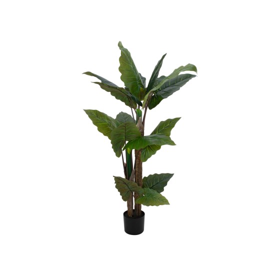 EUROPALMS Taro Alocasia - Pianta Artificiale Tropicale 140cm per Decorazioni