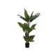 EUROPALMS Taro Alocasia - Pianta Artificiale Tropicale 140cm per Decorazioni
