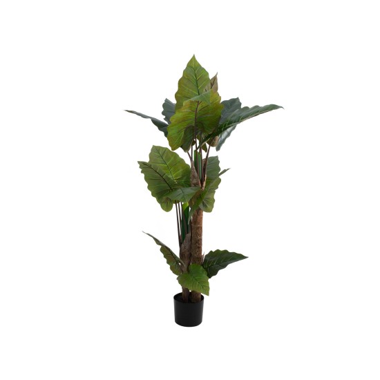 EUROPALMS Taro Alocasia - Pianta Artificiale Tropicale 140cm per Decorazioni