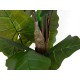 EUROPALMS Taro Alocasia - Pianta Artificiale Tropicale 140cm per Decorazioni