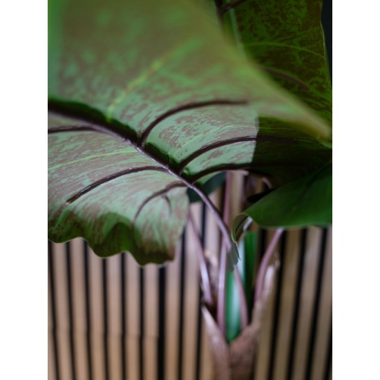 EUROPALMS Taro Alocasia - Pianta Artificiale Tropicale 140cm per Decorazioni
