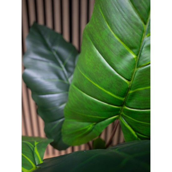 EUROPALMS Taro Alocasia - Pianta Artificiale Tropicale 140cm per Decorazioni