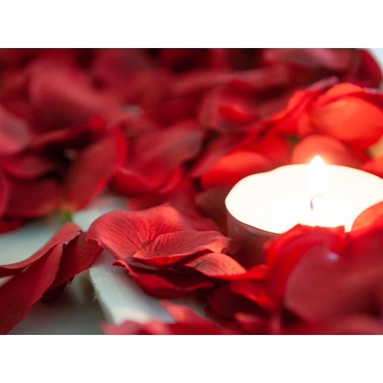 Petali di Rosa Artificiali EUROPALMS, Rosso, 500 Pezzi - Decorazione Romantica