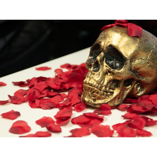 Petali di Rosa Artificiali EUROPALMS, Rosso, 500 Pezzi - Decorazione Romantica