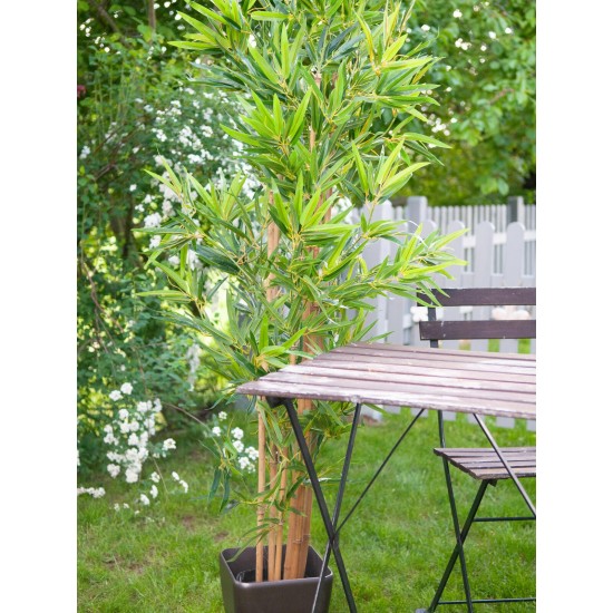 EUROPALMS Bambù Deluxe - Pianta Artificiale Alta 150 cm con Foglie Realistiche per Interni ed Esterni