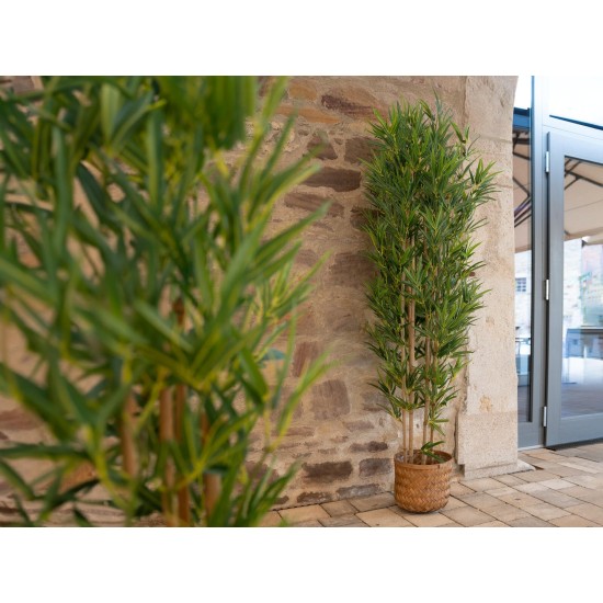 EUROPALMS Bambù Deluxe - Pianta Artificiale Alta 150 cm con Foglie Realistiche per Interni ed Esterni