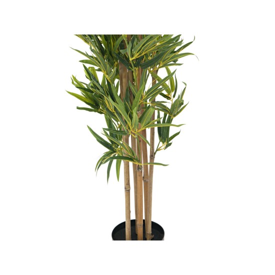 Pianta Artificiale Bambù Deluxe EUROPALMS, 180 cm - Ideale per Esterni con Foglie Realistiche