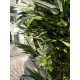 Pianta Artificiale Bambù Multi-Tronco EUROPALMS 180 cm - Arredo Tropicale