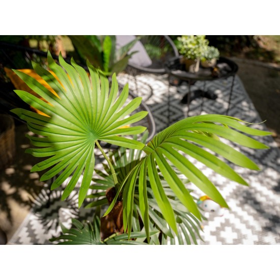 EUROPALMS Palma a ventaglio artificiale 88 cm con fronde realistiche per esterni