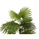 Palma a Ventaglio Artificiale EUROPALMS 130 cm - Decorazione Tropicale per Esterni