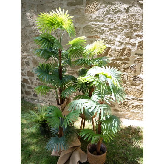 Palma a Ventaglio Artificiale EUROPALMS 130 cm - Decorazione Tropicale per Esterni
